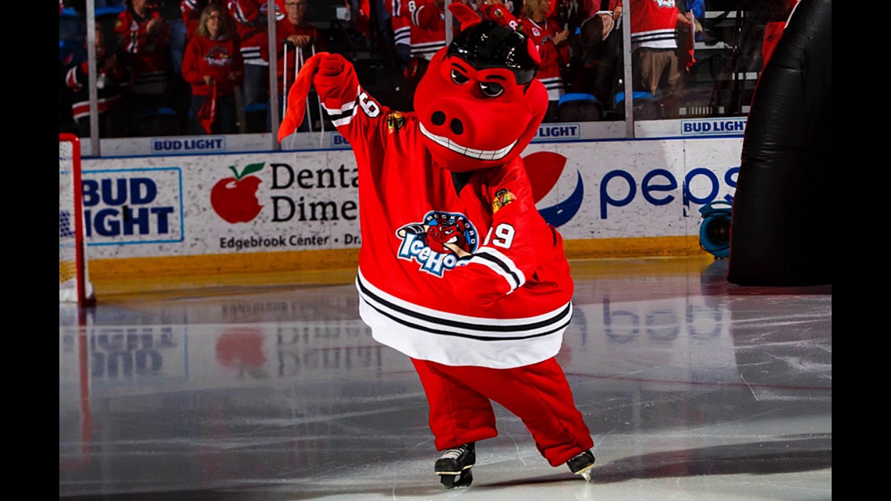 The History of Hammy from Rockford IceHogs - YouTube