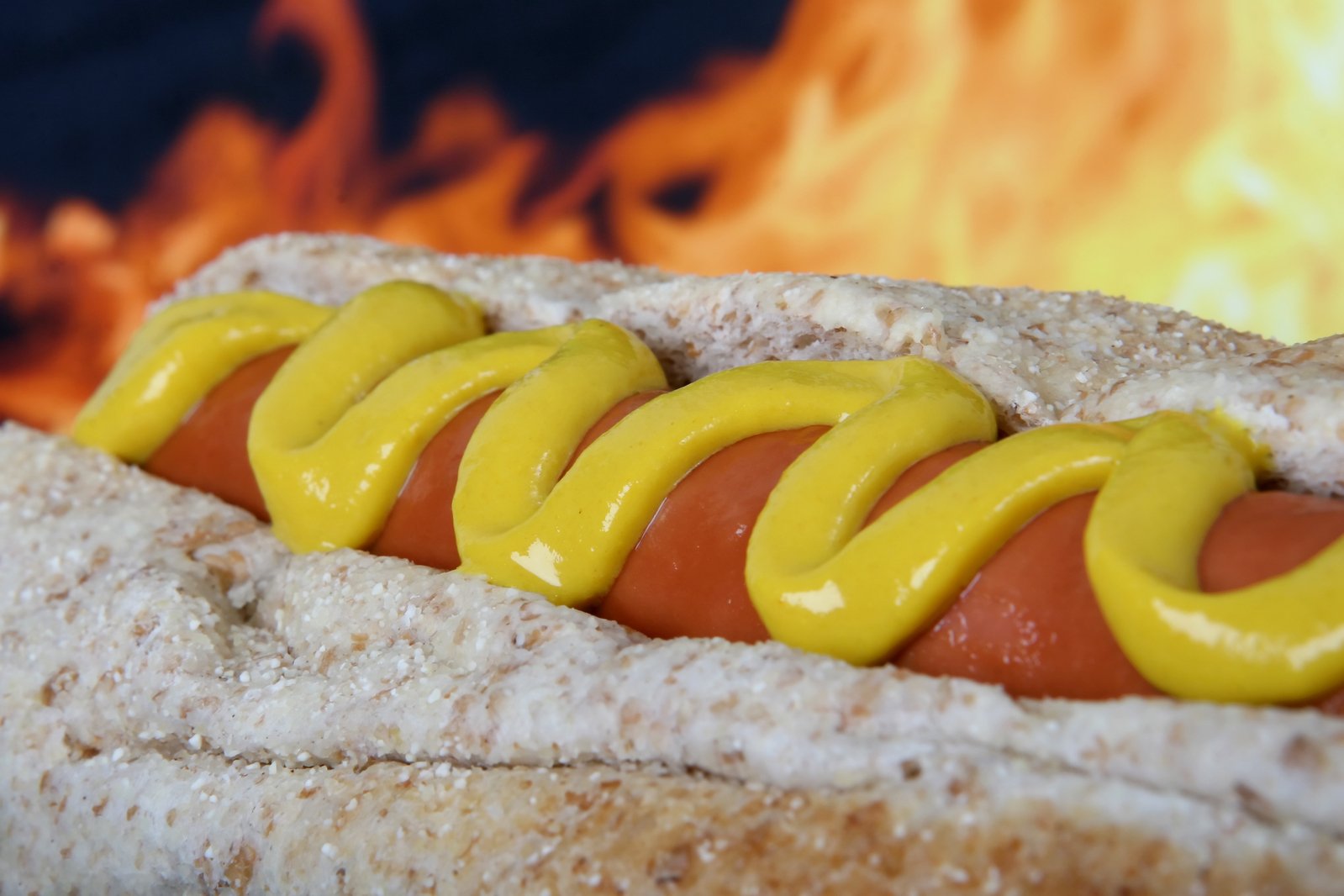 Hot dog with red sausage meat and mustard Free Photo Download | FreeImages