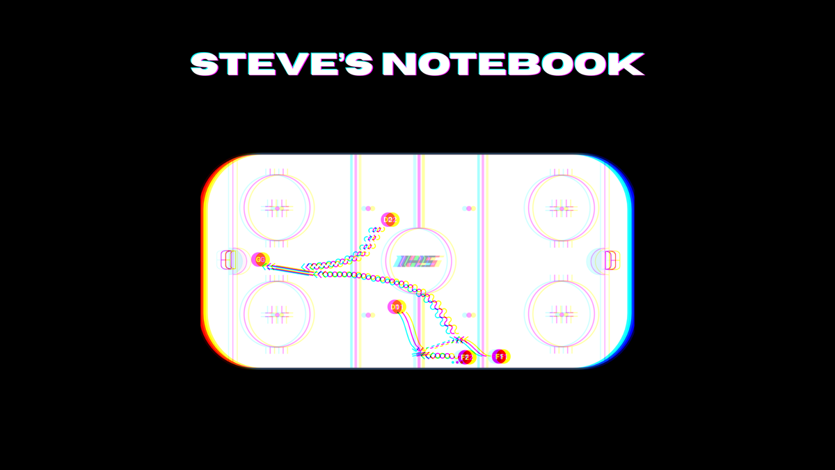 Steve's Notebook cover